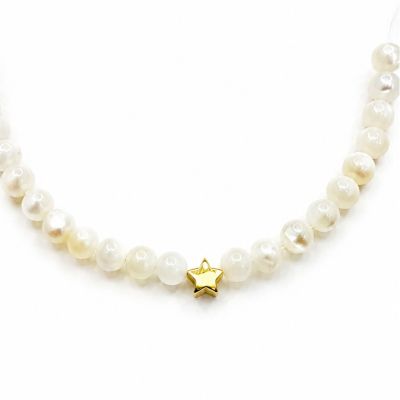 پلاک دستبندی ستاره ریز 1358